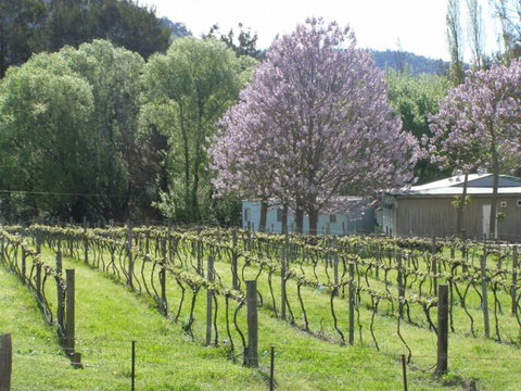 Orchard Lodge - Tourism TAS 8