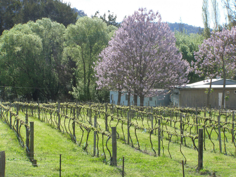 Orchard Lodge - Tourism TAS 3