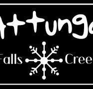 Attunga Falls Creek - Tourism TAS