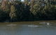 Nepean Shores Penrith - thumb 16