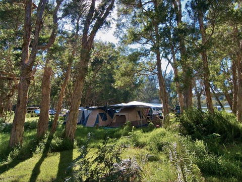 Neranie Campground - Tourism TAS 0