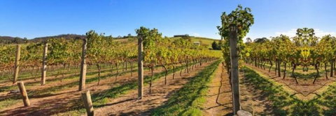 DeVine Escape - Tourism TAS 0