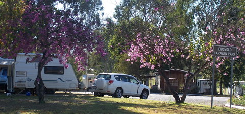 Eidsvold Caravan Park - Tourism TAS 1