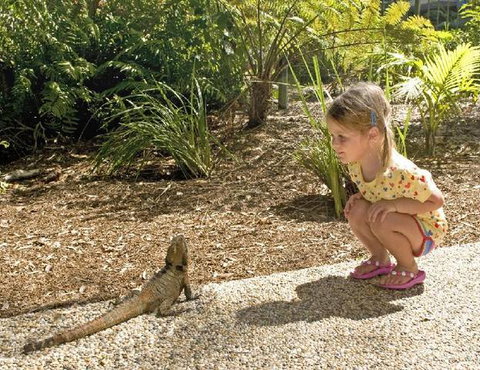 Flynns Beach Resort - Tourism TAS 3