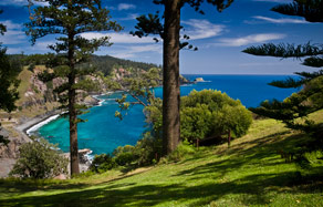 Forrester Court Cliff Top Cottages - Tourism TAS 7