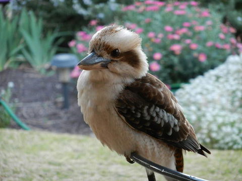 Glenbar Cottage - Tourism TAS 0