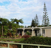 Hibiscus Regal - Tourism TAS