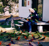 Inland Waters Holiday Parks Burrinjuck - Tourism TAS