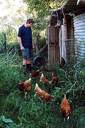 Lagoon Pocket Bed & Breakfast - Tourism TAS 1