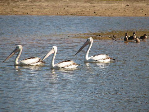 Lakeview Lodge - Tourism TAS 2