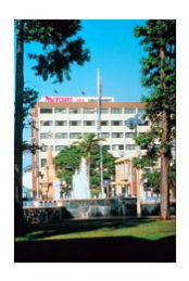 Leichardt Hotel - Tourism TAS 0