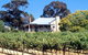 Longview Vineyard - thumb 0