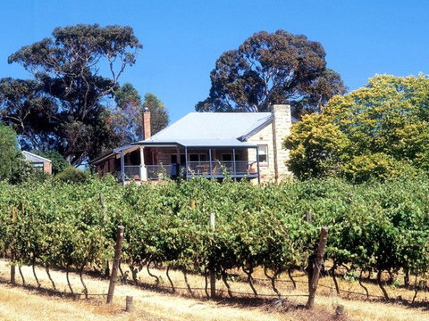Longview Vineyard - Tourism TAS 0