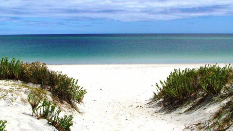 Boomeri Campground - Hobart Tourism 1