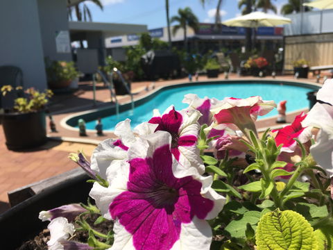 Main Street Motel - Tourism TAS 0