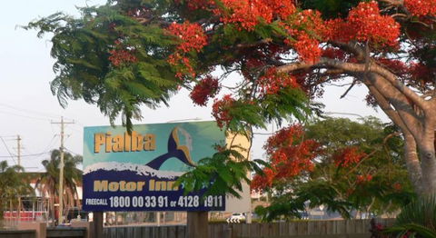 Pialba Motor Inn - Tourism TAS 1