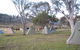 Reynella Kosciusko Rides Homestead - thumb 3