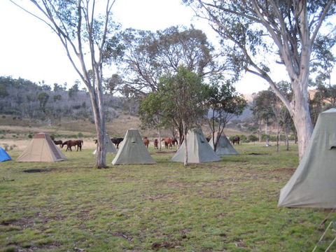 Reynella Kosciusko Rides Homestead - Tourism TAS 3