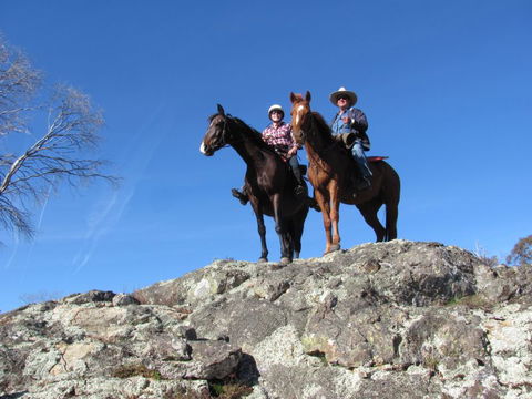 Reynella Kosciusko Rides Homestead - Tourism TAS 7