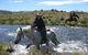 Reynella Kosciusko Rides Homestead - thumb 11