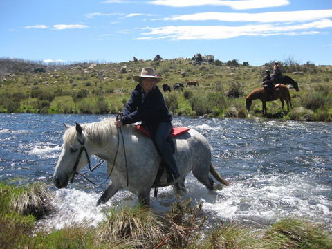 Reynella Kosciusko Rides Homestead - Tourism TAS 11