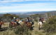 Reynella Kosciusko Rides Homestead - thumb 6