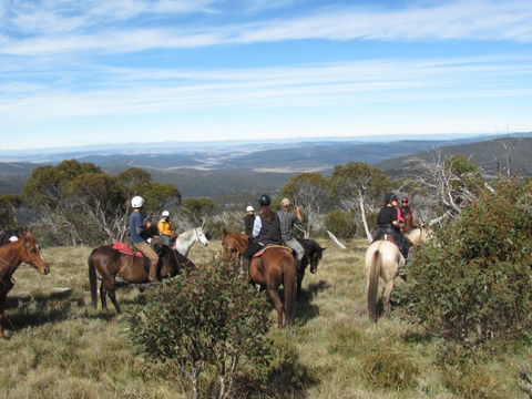 Reynella Kosciusko Rides Homestead - Tourism TAS 6