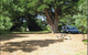 Millicent Hillview Caravan Park - thumb 4