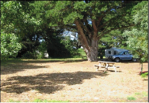 Millicent Hillview Caravan Park - Tourism TAS 4