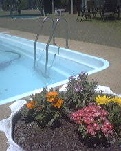 Bevendale NSW Tourism TAS