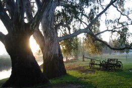 Mudgee's Getaway Cottages - Hobart Tourism 3