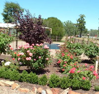 Newell Motor Inn - Tourism TAS