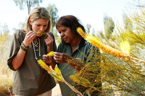 Outback Pioneer Hotel - Tourism TAS 6