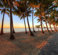 Palm Cove Holiday Park - Hobart Tourism