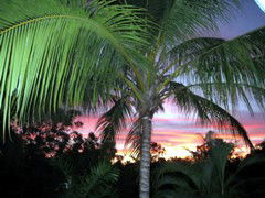 Palmerston Sunset Retreat - Tourism TAS 4