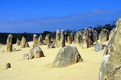 Pinnacles Holiday Park - Tourism TAS 4