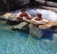 Reef Palms - Hobart Tourism