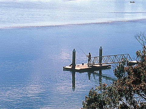 Riviere On Golden Beach - Tourism TAS 2