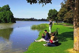 Sale Motor Village - Tourism TAS 0