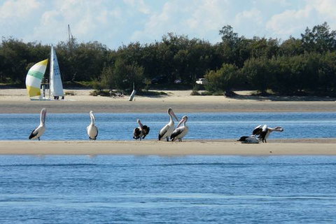 Sandcastles On The Broadwater - Tourism TAS 4