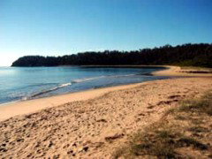 Seahorse Inn Hotel - Tourism TAS 4