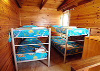 Shelly Beach Cabins - Hobart Tourism 7