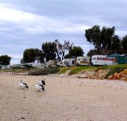 Stansbury Foreshore Caravan Park - Tourism TAS
