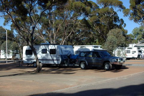 Acclaim Gateway Tourist Park - Tourism TAS 4