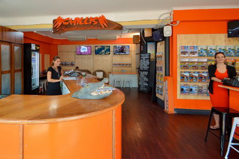 Chillis Backpackers - Tourism TAS 7