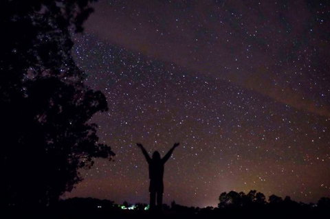 Childers Eco-lodge - Tourism TAS 5