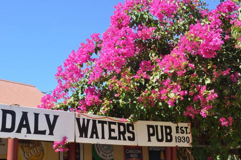 Daly Waters Historic Pub - Hobart Tourism 7