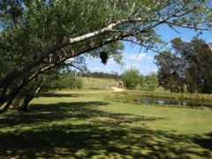 The Knoll Moruya - Tourism TAS 4