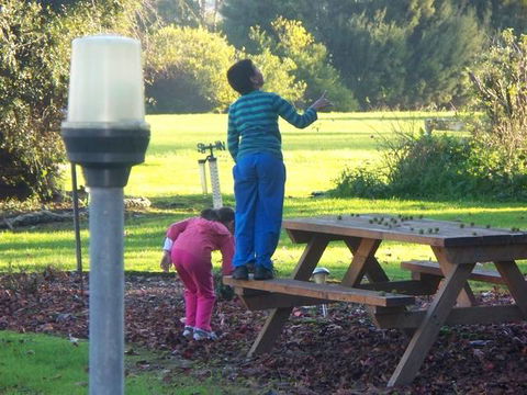 Toora Lodge Motel - Tourism TAS 2