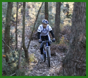 Twin Falls Bush Cottages - Hobart Tourism 1